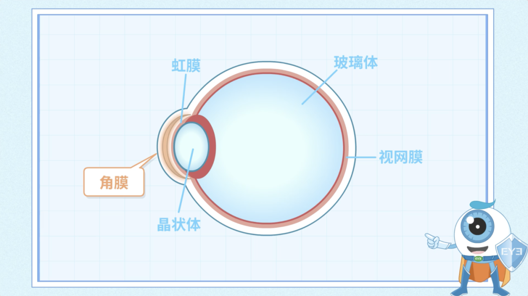 f49040ea0ddee7433dfd4a627ae60447.png