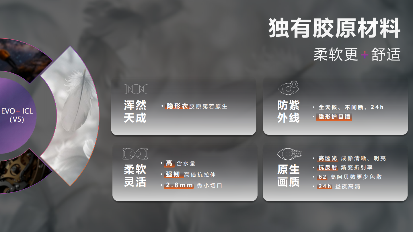 微信图片_2026-04-25_102639_482.png