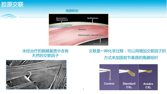微信图片_2026-06-01_164637_350.png
